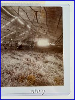 1800's Antique Adam Forepaugh PHOTO Big Top Tent circus carnival sideshow