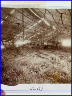 1800's Antique Adam Forepaugh PHOTO Big Top Tent circus carnival sideshow