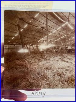 1800's Antique Adam Forepaugh PHOTO Big Top Tent circus carnival sideshow 1800's Antique Adam Forepaugh PHOTO Big Top Tent circus carnival sideshow