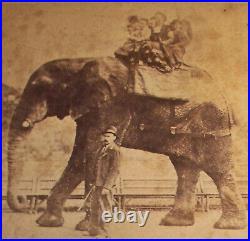 1800s Jumbo The Elephant vtg Cabinet photo PT Barnum famous Circus attraction