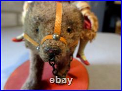 1900-antique Doll-on Circus Bear Toy-candy Container-bisque-germany French-9