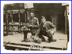 1900s Circus Zoo Trainers Lion Cubs British Worlds Fair Press Photo