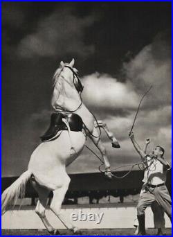 1940 Vintage CIRCUS HORSE TRAINER Equestrian Ringling Bro Animal Photo Art 12x16