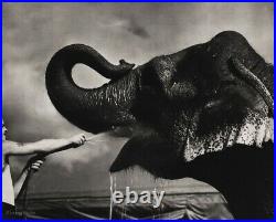 1940s CIRCUS ELEPHANT Drinking Hose Water Ringling Bros Animal Photo Art 12x16