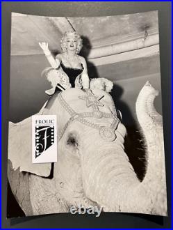 1955 MARILYN MONROE Original Photo Riding Pink Elephant Ringling Circus at M. S. G