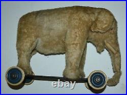 Antique 1910 Steiff Circus Elephant On Wheels