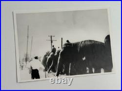 Antique Al Barnes Sells-Floto Lot (x17) photos circus carnival sideshow