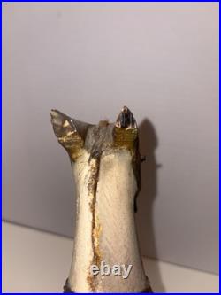 Antique Hand Painted & Carved Wood Folk Art Horse Figure Circus Carousel 11 1/2 Antique Hand Painted & Carved Wood Folk Art Horse Figure Circus Carousel 11 1/2