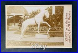 Antique MASCOT THE TALKING HORSE CIRCUS Act Cabinet Card