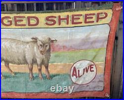 Antique Painted Canvas Fred G. Johnson 5 Legged Sheep Carnival Sideshow Banner Antique Painted Canvas Fred G. Johnson 5 Legged Sheep Carnival Sideshow Banner