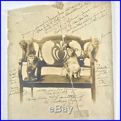 Antique Photograph of Schepp's Circus Monkeys with Inscribed Names & Bits of Info