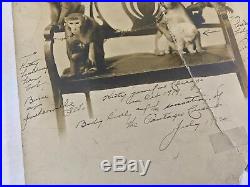 Antique Photograph of Schepp's Circus Monkeys with Inscribed Names & Bits of Info