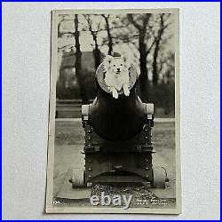 Antique RPPC Real Photograph Postcard Circus Adorable Dog Canon Odd San Diego CA