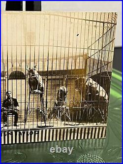 Antique Real Photo Postcard Rppc Magician Circus Performer In Cage W Lions