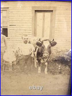 Antique Unusual 1880s Countryside Midget Family Photo Miniature Cow Circus
