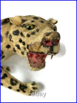 Antique Victorian Folk Art Antique Taxidermy Leopard 18 Toy Display Circus