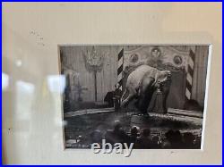 Antique Vintage Framed Circus Art Photographs Elephants Horses c1950s