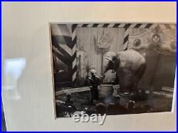 Antique Vintage Framed Circus Art Photographs Elephants Horses c1950s