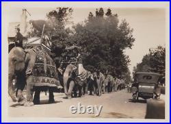 Barnum & Bailey Elephant Parade Howdahs Antique Cars 1917 Original Photo