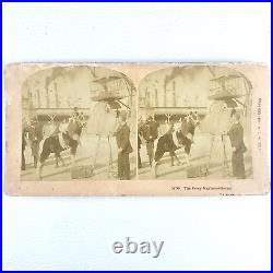 Circus Act Stereoview Kilburn c1898 Pony Mathematician Street Performer O217