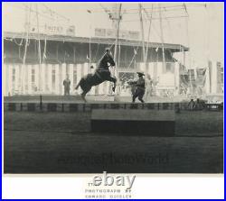 Circus horse trainer vintage art photo by Edward Quigley