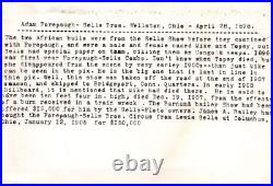 Forepaugh Sells Bros Circus Wellston Ohio Elephants SEE BACK 1898 c1900s Photo