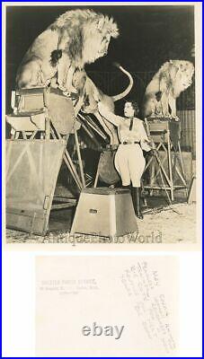 May Kovar circus animal trainer w lions antique photo