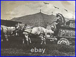 ORIGINAL 1900 Antique BARNUM BAILEY CIRCUS EGYPT TABLEAU WAGON! PHOTOGRAPH RARE