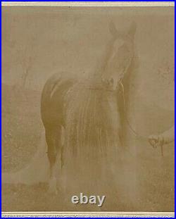 Oregon Wonder Horse Circus Sideshow Antique Cabinet Card Vintage Photo