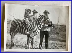 Original Circus Photo 1920'S SPARKS CIRCUS Clifton Sparks Kid riding a Zebra 5x7