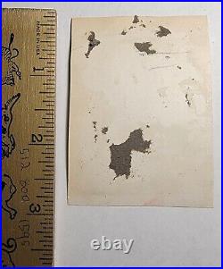 Original antique 1920s sideshow mabel darpel texas circus tent tattoo photo 2x3