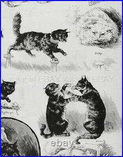 Professor Fredericks Performing Cats Circus Show, Louis Wain 1880s Antique Print