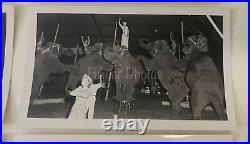 RARE Fulmer Estate B&W PRESS PHOTO PACK 1950s MILLS Bros CIRCUS Elephants COA