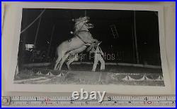 RARE Fulmer Estate B&W PRESS PHOTO PACK 1950s MILLS Bros CIRCUS Elephants COA