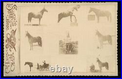 RARE Trick Circus or Sideshow Horse by Swords Bros 1800s Composite Photo