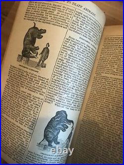 RARE antique book The Peoples Handbook Series How to Train Animals circus pets