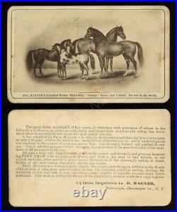 Rare Antique 1800s Circus CDV of Magner's Educated Horses