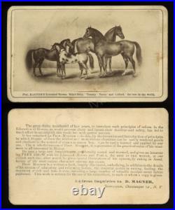 Rare Antique 1800s Circus Photo of Magner's Educated Horses Pony Sideshow Barnum Rare Antique 1800s Circus Photo of Magner's Educated Horses Pony Sideshow Barnum