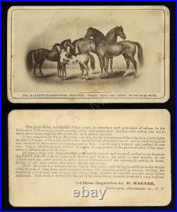 Rare Antique 1800s Circus Photo of Magner's Educated Horses Pony Sideshow Barnum