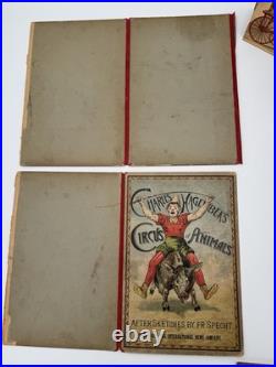 Rare Antique Charles Hagenbek's Circus Of Animals Pop Up Program Coney Island