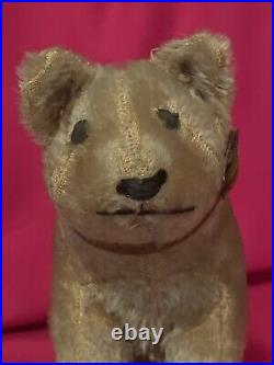 Rare Antique Steiff Circus Bear