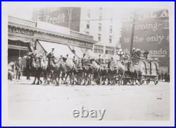 Ringling Bros RBBB Egypt Camel Parade Wagon USA 1900 Original Photo
