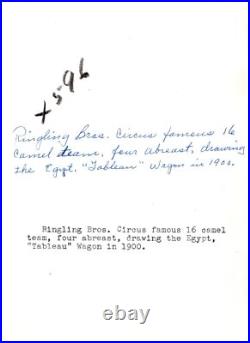 Ringling Bros RBBB Egypt Camel Parade Wagon USA 1900 Original Photo