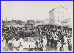 Ringling Bros RBBB Vancouver BC Circus Elephant Menagerie 1903 Original Photo Ringling Bros RBBB Vancouver BC Circus Elephant Menagerie 1903 Original Photo