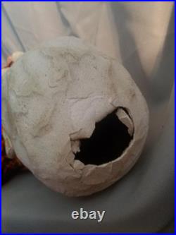 Ultra Rare Antique Fair Amusement Co. Plaster & Fabric Carnival Doll Early 1900s