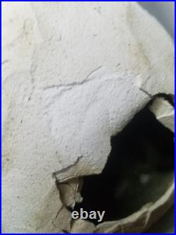 Ultra Rare Antique Fair Amusement Co. Plaster & Fabric Carnival Doll Early 1900s