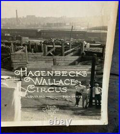 Vintage 1930s St. Louis Hagenbeck Wallace Railroad Circus Kelty Photo