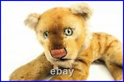 Vintage LARGE 22 STEIFF Circus Laying down Tiger Mohair Glass Eye Button & Tag