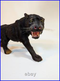 Vintage Mini Taxidermy Panther Figurine Circus Collectible Victorian Toy Antique