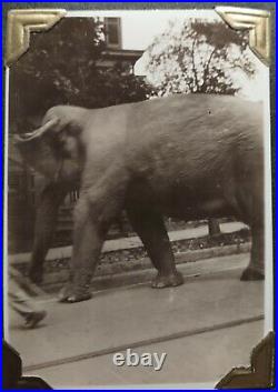 Vintage Photograph Collection Barnum & Bailey Circus. Some Rare Views. 1910-20